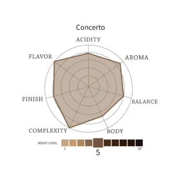 Concerto - Image 4
