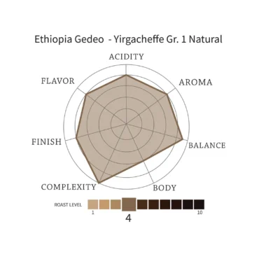 ETHIOPIA GEDEO - Yirgacheffe Gr. 1 Natural - Image 4