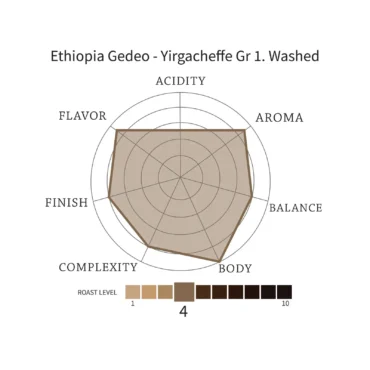 ETHIOPIA GEDEO - Yirgacheffe G. 1 Washed - Image 4
